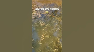 Bro I can’t find a good spot 💀 #shorts #fishing