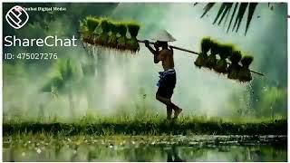 Videos Whatsapp Status