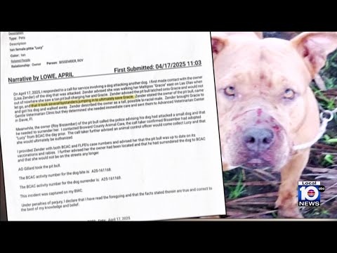Deadly dog attack on Las Olas raises questions about animal shelter policies