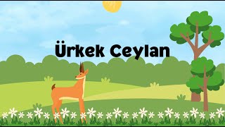 Ürkek Ceylan