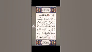 سوره البقره صفحه في اليوم تسعد يومك بإذن الله تعالى #الابذكرالله_تطمئن_القلوب#قرآن #qoran