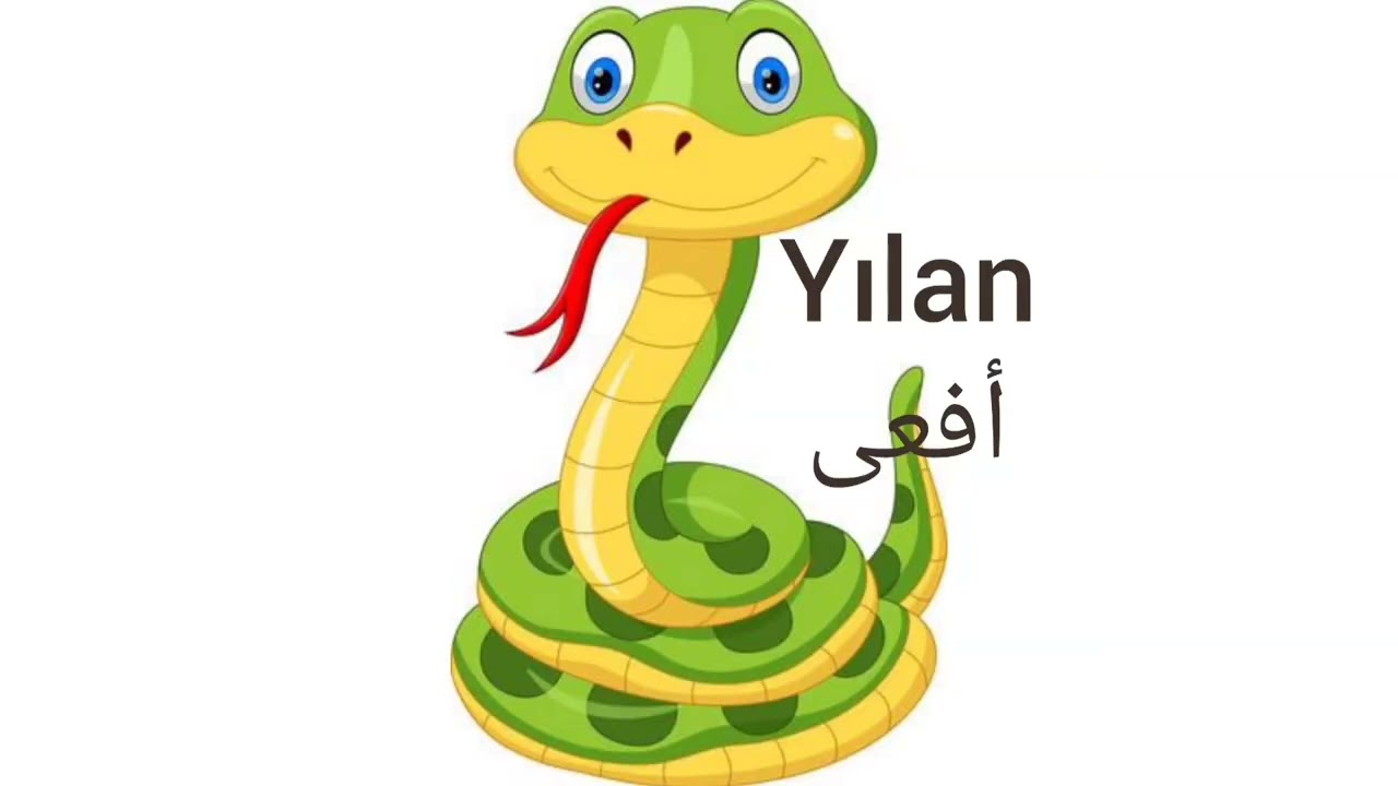 أسماء الحيوانات باللغة التركية