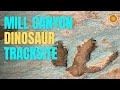 Mill Canyon Dinosaur Tracksite | Moab’s Incredible Dinosaur Footprints