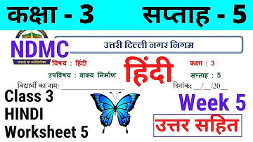 NDMC Class 3 Hindi Week 5 Worksheet 5 (28/6/21) || हिंदी कार्यपत्रक 5 Class 3rd