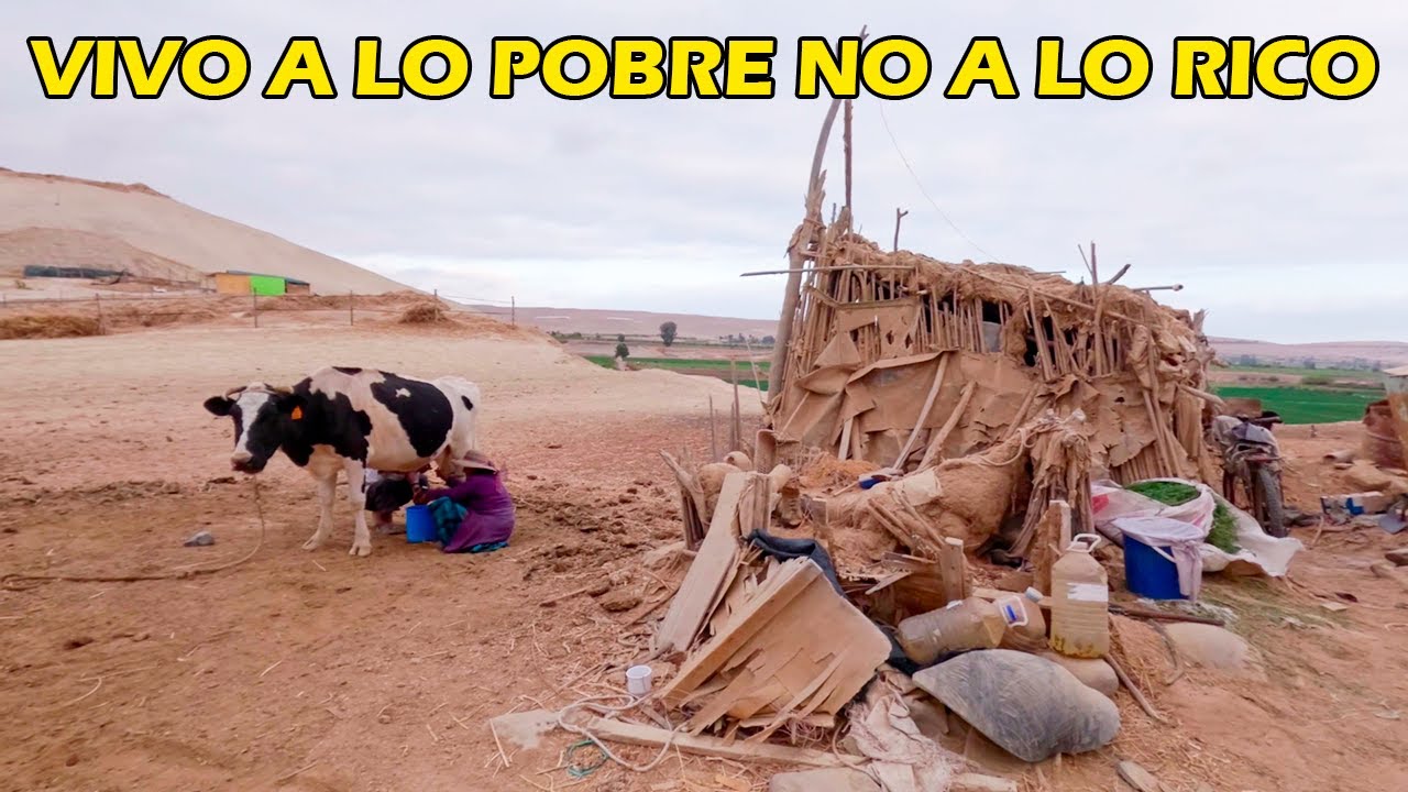 llevamos a Alegría a la Tía Zenobia, vamos a HACER SU CASA NUEVA