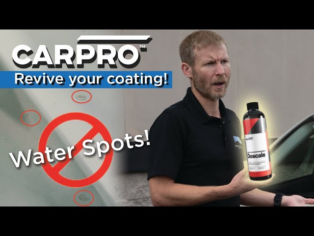 CarPro Descale – Status Detail