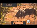 Bos&amp;Dal Safaris Promotional 2021 - Highlights of some of this seasons hunts