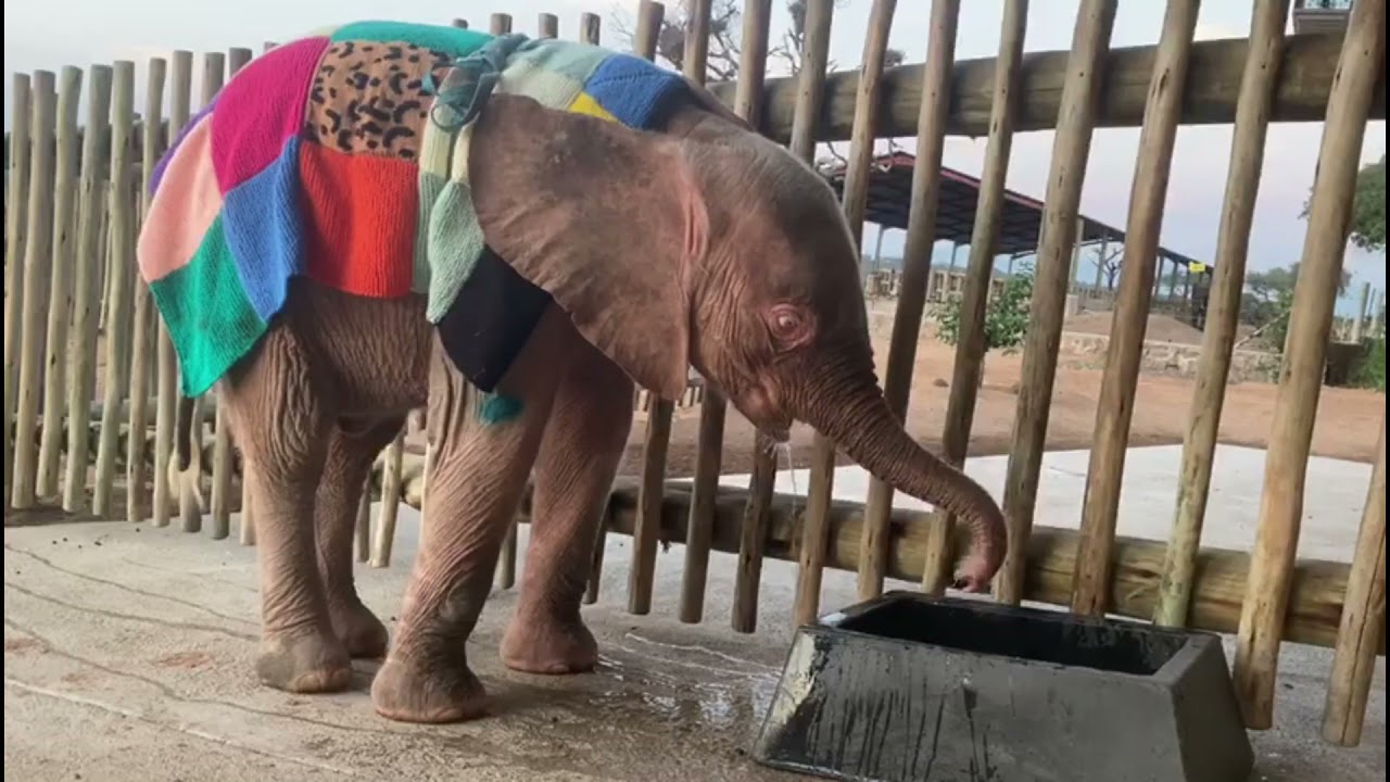 Khanyisa's Life in Blankets ~ a beautiful journey of love - YouTube