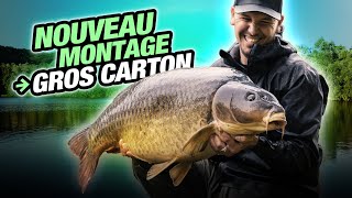 KORDA CARP FISHING FILM: Nouveau montage, gros carton ! (Pierre Meyer)