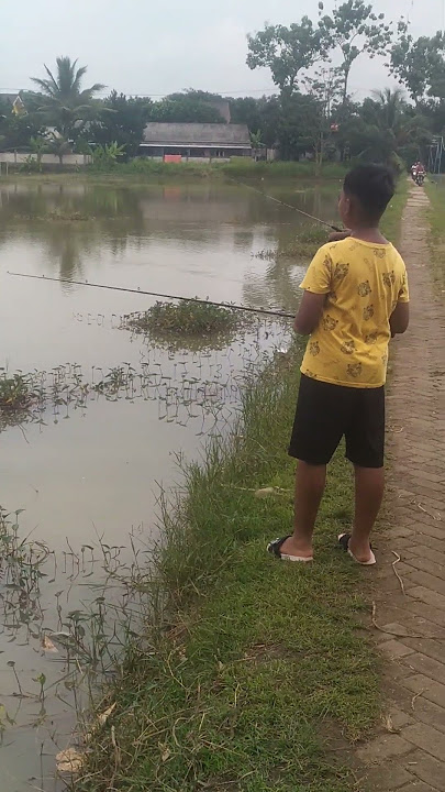 FISHING MANIA BOY