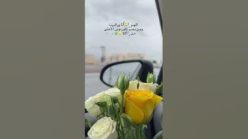 قرآن كريم تلاوات مختارة 💛🌿