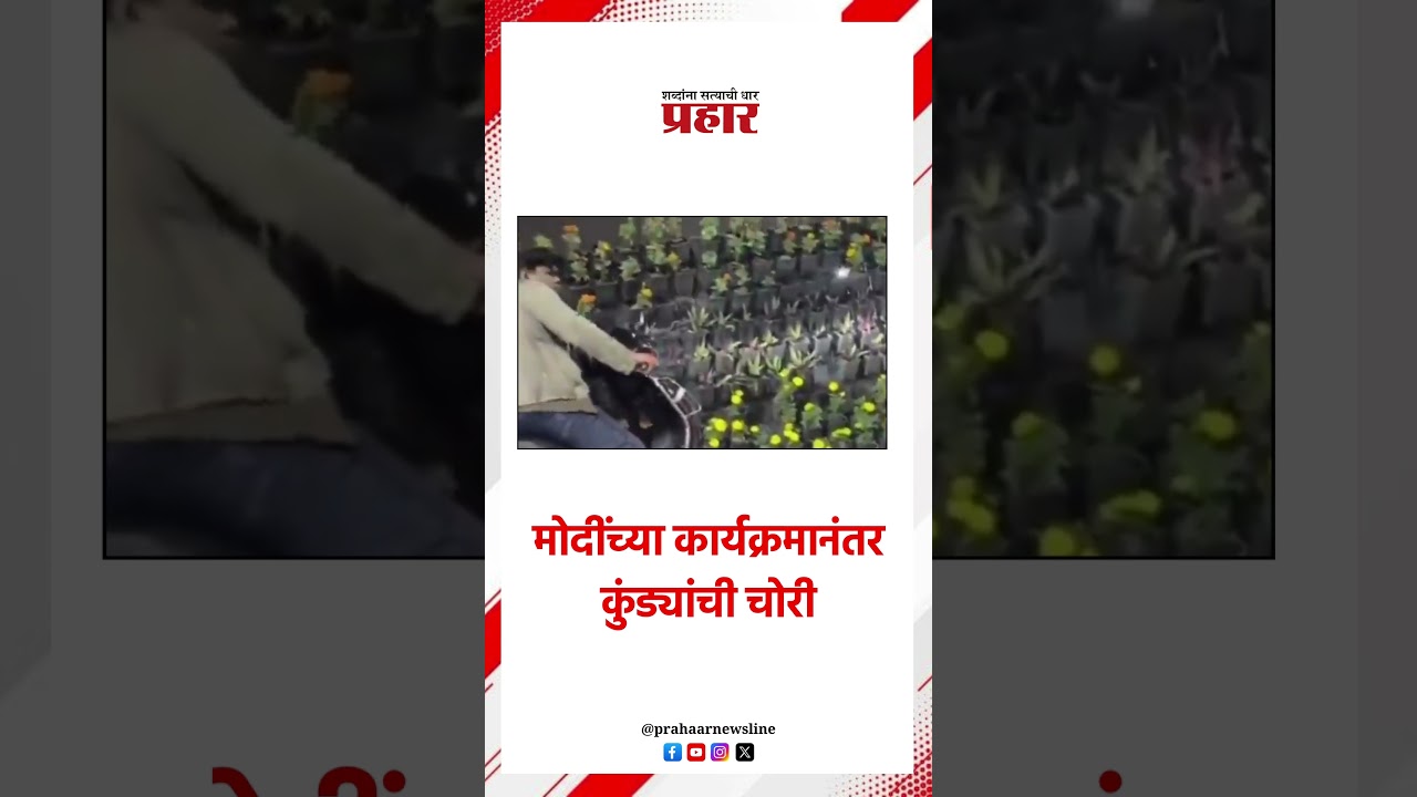 मोदींच्या कार्यक्रमानंतर कुंड्यांची चोरी..prahaarshorts MarathiNews #narendramodi #Lakhnaur