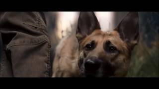 I Am Legend - Opening Scene