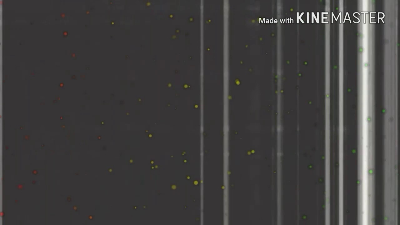 Как видос первый :)