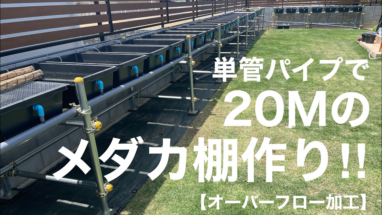 単管パイプで20Mのメダカ棚作り‼︎ - YouTube