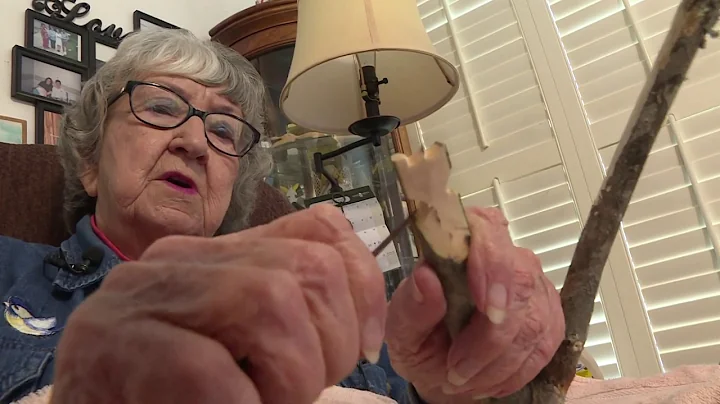 At 85, eastern Kentucky folk artist still as sharp...