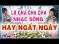 Liên khúc CHA CHA CHA Nhạc sống hay Ngất Ngây - PHONG BẢO Official
