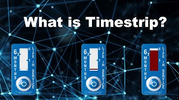 What is Timestrip?