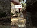 Measurements are per Clorox (the maker of the product). #survival #emergencypreparedness