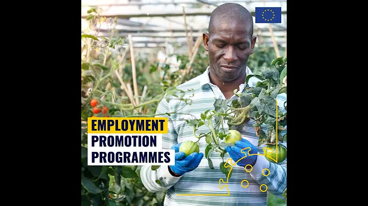 EU in SA: Covid-19 Response