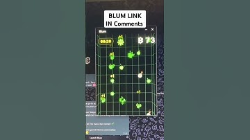 Blum App #blum #crypto #telegram