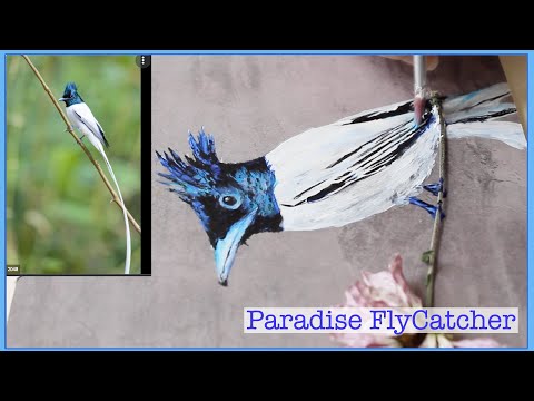 How To Paint A Paradise Bird 🦜 🦜