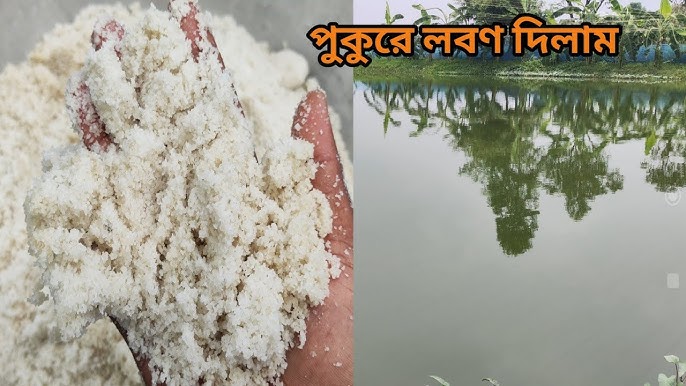 Erotica yalangoch jojalar sikish