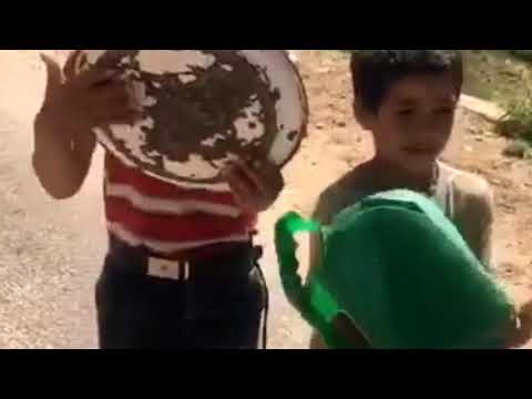 اطفال أطلس بي أغنية على كورونا