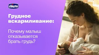 Почему малыш отказывается брать грудь? Ответы от врачей 0+