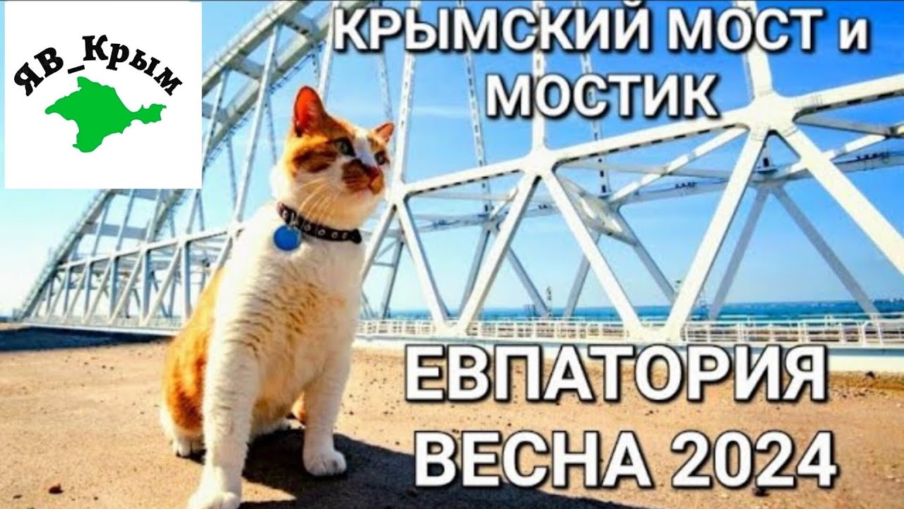 Крымская Весна 2024. Я в ШОКЕ,кто приехал в ЕВПАТОРИЮ!!! КОТ МОСТИК # ...
