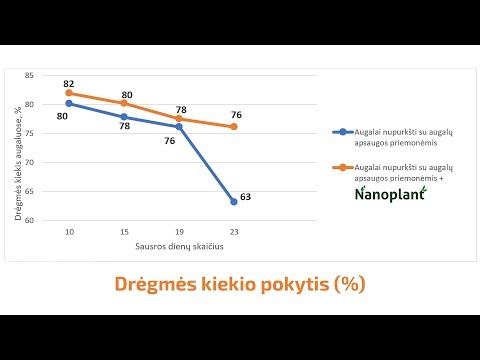 Video: Derliaus Komponentai: Hibridų Naudojimas Ir Augalų Ligų Kontrolė