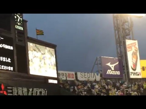 試合中止パフォーマンス　2014年　阪神タイガース　試合中止後の特別パフォーマンス
