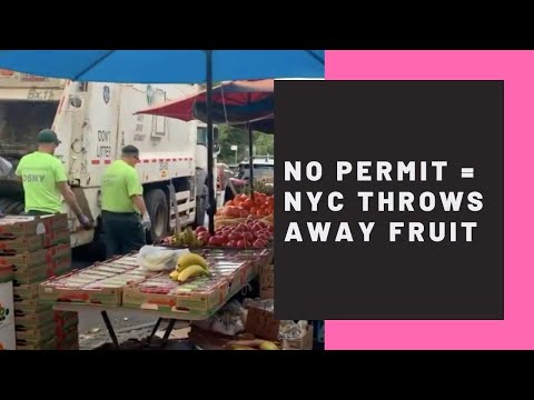 NYC throws away food from unlicensed street vendor; let's dig into it