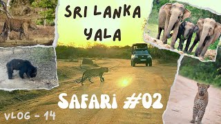 Vlog 14  Yala Safari 2 Sri Lanka | Leopard | Elephant | Birds | Warahana | Mahasilawa Bungalow