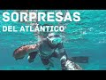 🔱 PESCA SUBMARINA | SPEARFISHING. SAL DE SÁBADO (EN BUSCA DEL GRAN MERO)