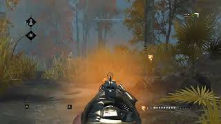 Hunt Showdown. Крысить в кустах плохо