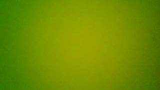 Capture 20090411