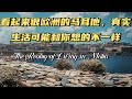 看起来很欧洲的马耳他，真实生活可能和你想的不一样 | The Reality of Living in Malta