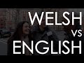 Welsh vs. English Stereotypes? | Cardiff - London