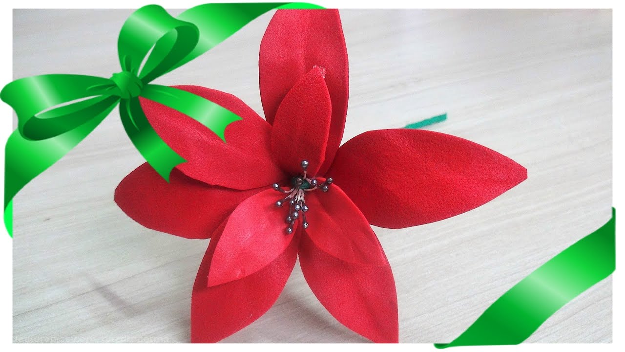 Bico de Papagaio (Flor do Natal) - DIY - thptnganamst.edu.vn