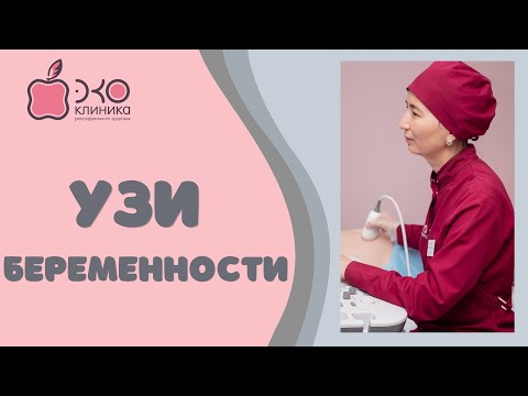 УЗИ при беременности: