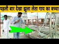 विश्व स्तरीय गो चिकित्सालय नगौर राजस्थान, World ki sabse badi goshala