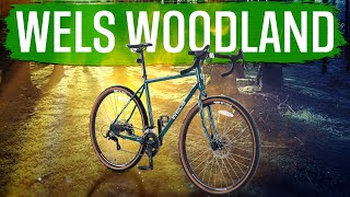 картинка: WELS WOODLAND - самый дешёвый туринг | ГУЛЯЙНЕН (2023)