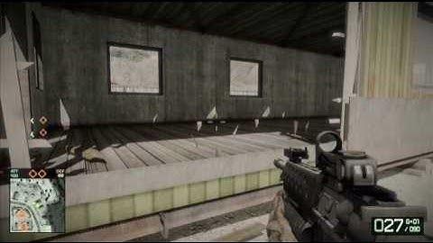 Bad Company 2 Graphic Problems !