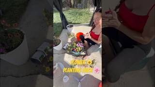 Flower Planting Hack 🌼 #flowers #flowergarden #diy #gardeningtips #flowerdesign #flowerpot