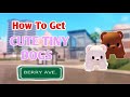 How to get new cute tiny dogs in berry avenue  new update  how to be a dog in berry avenue