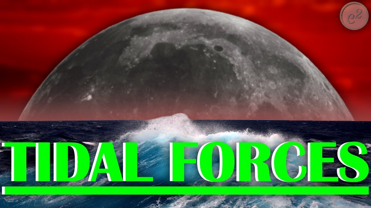 This is How the Moon Affects the Tides