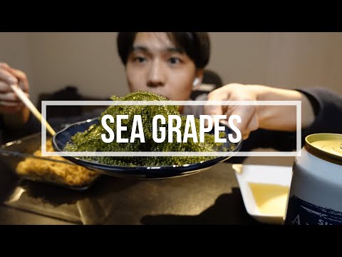 【ASMR】Sea Grapes