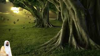 عبدالودود مقبول حنيف سورة غافر كامله