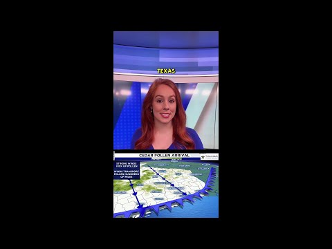 Cedar Pollen Alert: Texas Faces Surge in Allergies